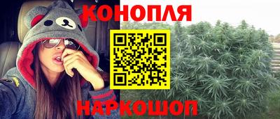 спайс Гагарин