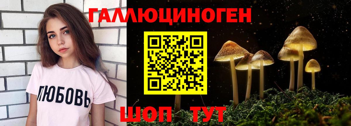 Псилоцибиновые грибы MAGIC MUSHROOMS  где найти   Глазов  Вход с VPN 